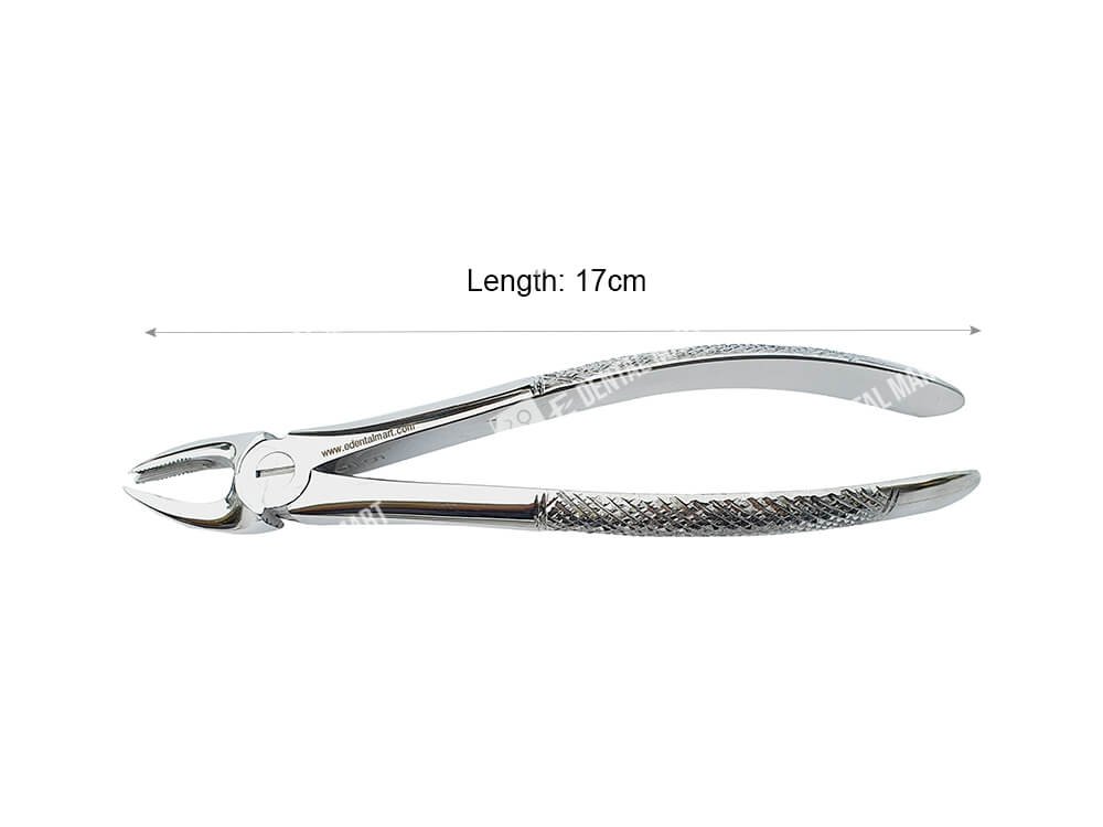 Cow Horn Forcep (Upper)