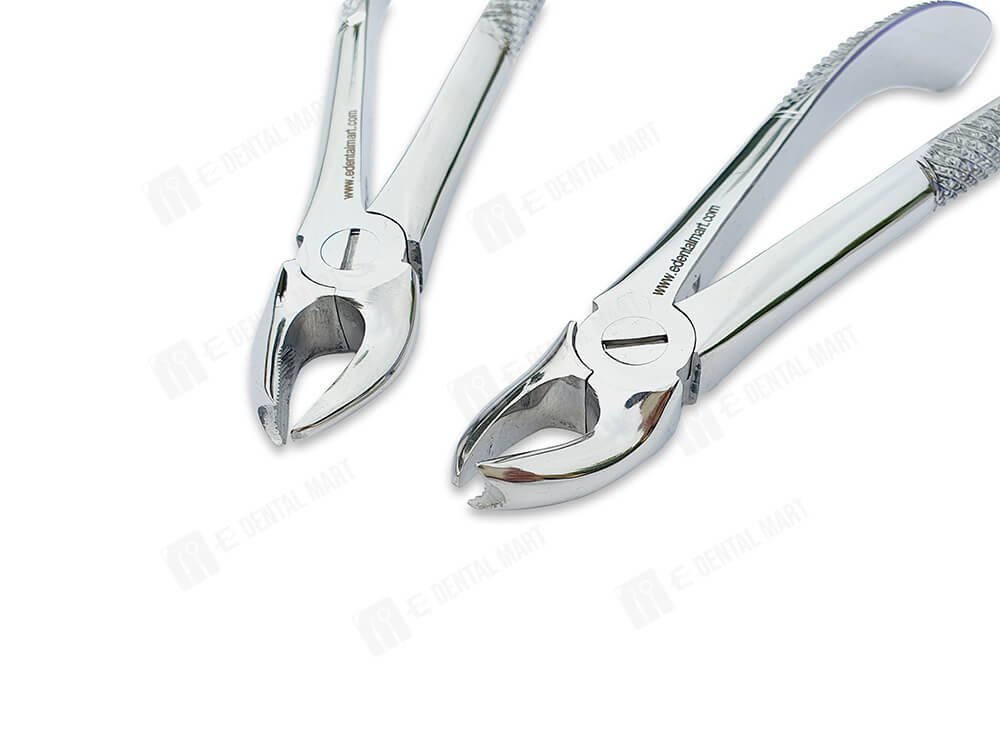 Cow Horn Forcep (Upper)